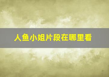 人鱼小姐片段在哪里看