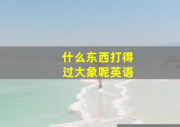 什么东西打得过大象呢英语