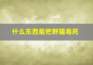 什么东西能把野猫毒死