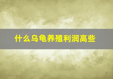 什么乌龟养殖利润高些