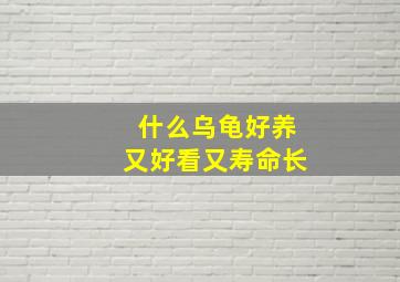 什么乌龟好养又好看又寿命长