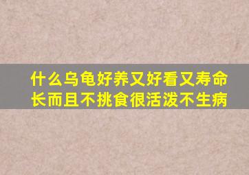 什么乌龟好养又好看又寿命长而且不挑食很活泼不生病