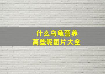 什么乌龟营养高些呢图片大全