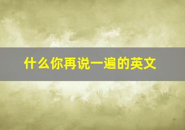 什么你再说一遍的英文