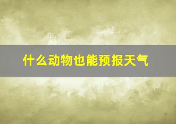 什么动物也能预报天气