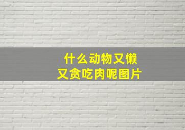 什么动物又懒又贪吃肉呢图片