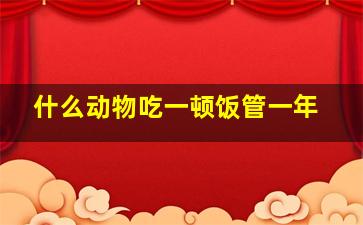 什么动物吃一顿饭管一年