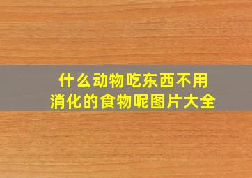 什么动物吃东西不用消化的食物呢图片大全