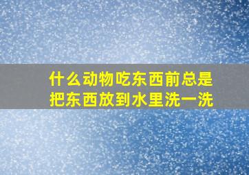 什么动物吃东西前总是把东西放到水里洗一洗