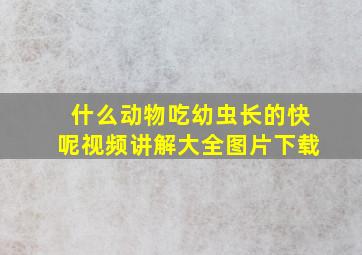 什么动物吃幼虫长的快呢视频讲解大全图片下载