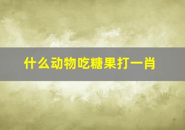 什么动物吃糖果打一肖