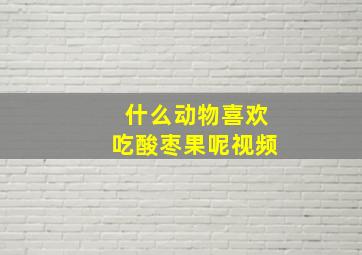 什么动物喜欢吃酸枣果呢视频