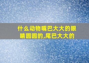 什么动物嘴巴大大的眼睛圆圆的,尾巴大大的