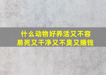 什么动物好养活又不容易死又干净又不臭又赚钱