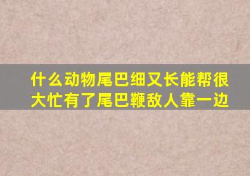 什么动物尾巴细又长能帮很大忙有了尾巴鞭敌人靠一边