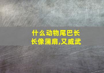 什么动物尾巴长长像蒲扇,又威武