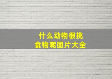 什么动物很挑食物呢图片大全