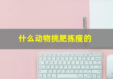 什么动物挑肥拣瘦的