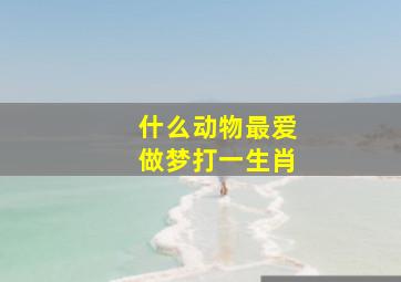 什么动物最爱做梦打一生肖