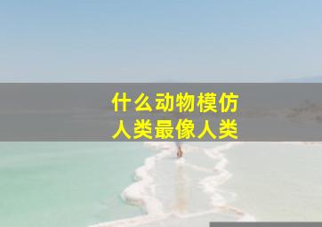 什么动物模仿人类最像人类