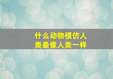 什么动物模仿人类最像人类一样