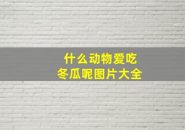 什么动物爱吃冬瓜呢图片大全