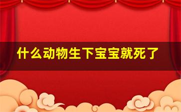 什么动物生下宝宝就死了