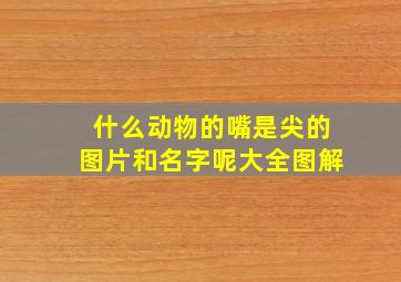 什么动物的嘴是尖的图片和名字呢大全图解