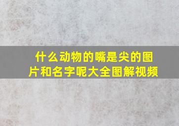 什么动物的嘴是尖的图片和名字呢大全图解视频