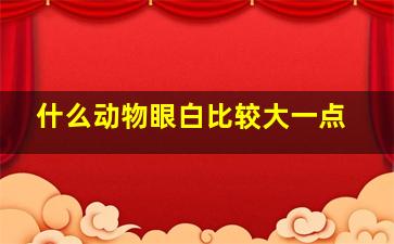 什么动物眼白比较大一点