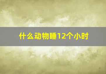 什么动物睡12个小时