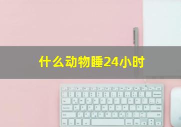 什么动物睡24小时