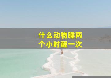 什么动物睡两个小时醒一次