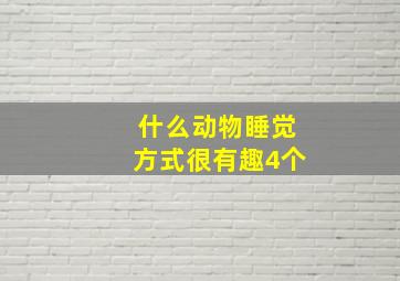 什么动物睡觉方式很有趣4个