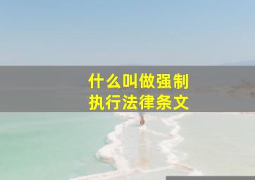 什么叫做强制执行法律条文