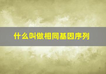 什么叫做相同基因序列