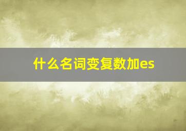 什么名词变复数加es