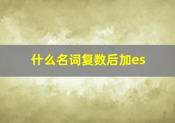 什么名词复数后加es