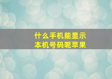 什么手机能显示本机号码呢苹果