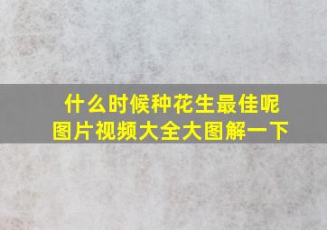 什么时候种花生最佳呢图片视频大全大图解一下