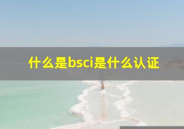 什么是bsci是什么认证