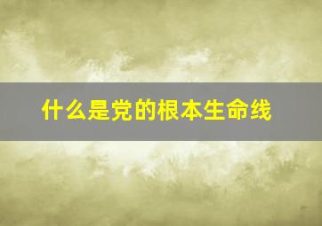 什么是党的根本生命线