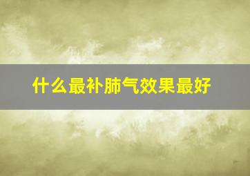 什么最补肺气效果最好