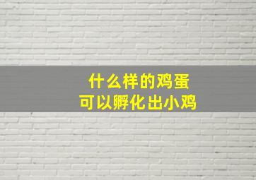 什么样的鸡蛋可以孵化出小鸡