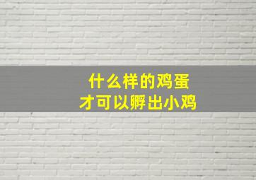 什么样的鸡蛋才可以孵出小鸡