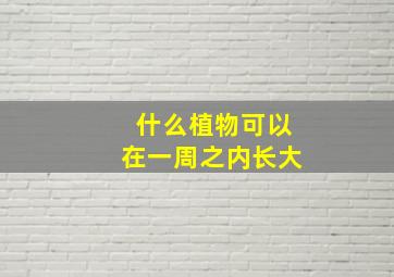 什么植物可以在一周之内长大