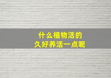 什么植物活的久好养活一点呢