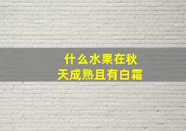 什么水果在秋天成熟且有白霜