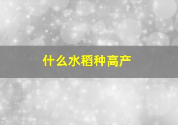 什么水稻种高产