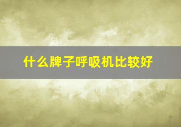 什么牌子呼吸机比较好